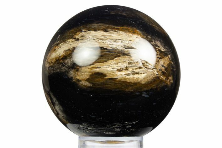 Polished Petrified Palm Wood Sphere - Indonesia #308224